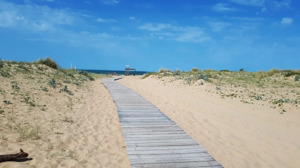 plage à la faute sur mer