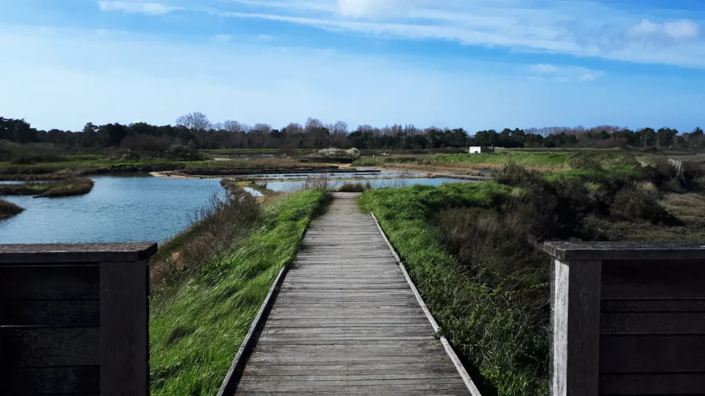 rade d'amour à la faute sur mer