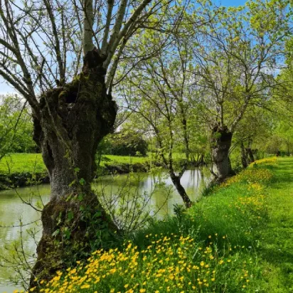 le marais et ses canaux